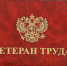 Внесены изменения в порядок и условия присвоения звания «Ветеран труда» - Соцзащита населения по Ельниковскому району